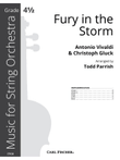 Fury in the Storm