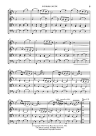 Ave Maria String Quartet scores gallery preview page 4