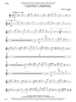 Calypso Carnival: Flute