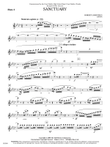 Sanctuary: Flute 2