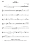 Sentinels: Flute
