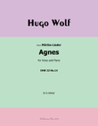 Agnes, by Hugo Wolf, IHW 22 No.14, in b minor