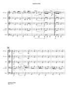 Explosions Polka (Op. 43) Brass Quintet scores gallery preview page 4