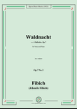 Fibich-Waldnacht(Noc v lese),in e minor