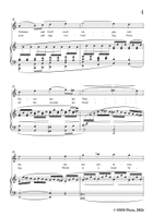 R. Franz-An die Wolke,in a minor Piano, Vocal scores gallery preview page 5
