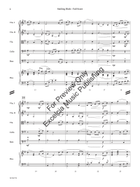 Smiling Birds (Standard Set) String Orchestra scores gallery preview page 5