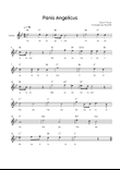 Panis Angelicus - Voice in Bb Lead Sheet With Lyric & Chords - Easy