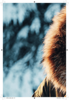 All My Demons Greeting Me as a Friend Collection / Songbook scores gallery preview page 4