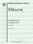 Symphonia Domestica, Op. 53/TrV 209