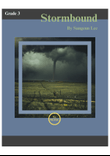Stormbound