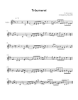 Träumerei - Violin in D - Easy/Intermediate
