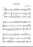 Träumerei - Flute & Piano in G - Easy/Intermediate