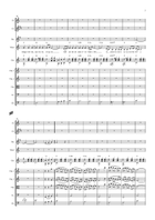 Snipebrovalsen Large Ensemble scores gallery preview page 3