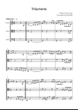 Träumerei - String Trio in C - Easy/Intermediate