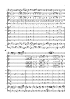 Vaggevisa Chamber Orchestra scores gallery preview page 3