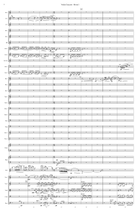 Violin Concerto (Downloadable Additional Orchestral Score) Violin Solo scores gallery preview page 4