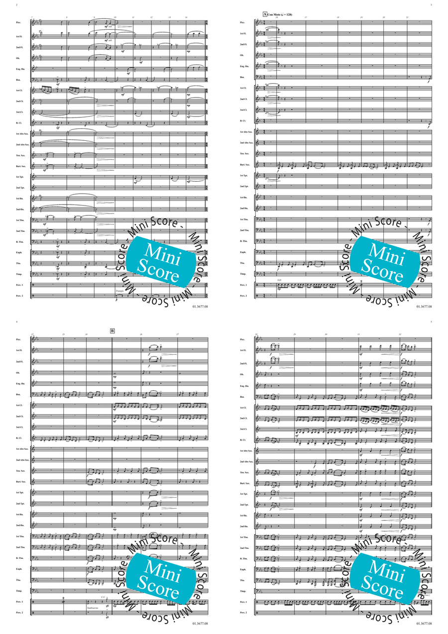 Bird's Road Concert Band - Sheet Music page 3