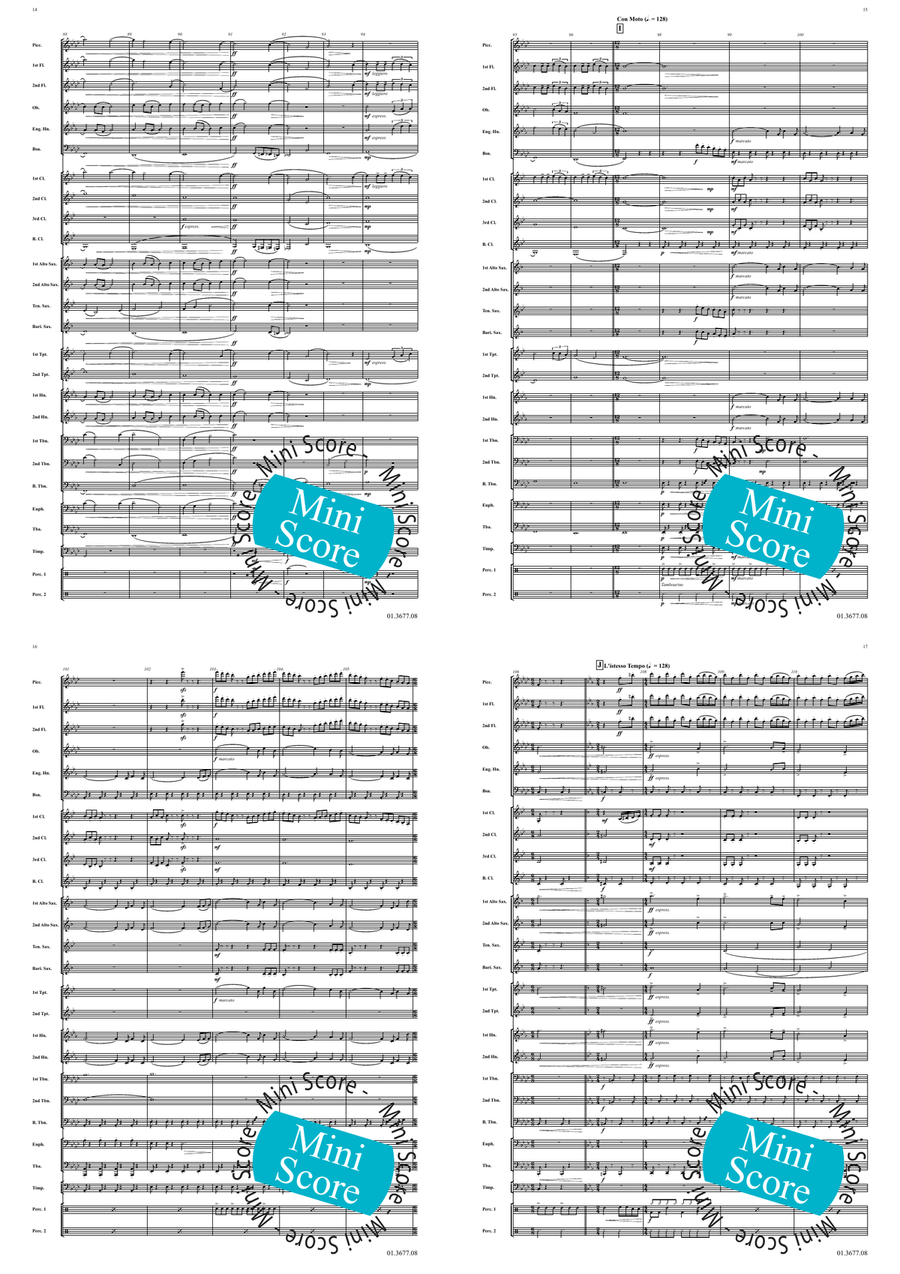 Bird's Road Concert Band - Sheet Music page 6