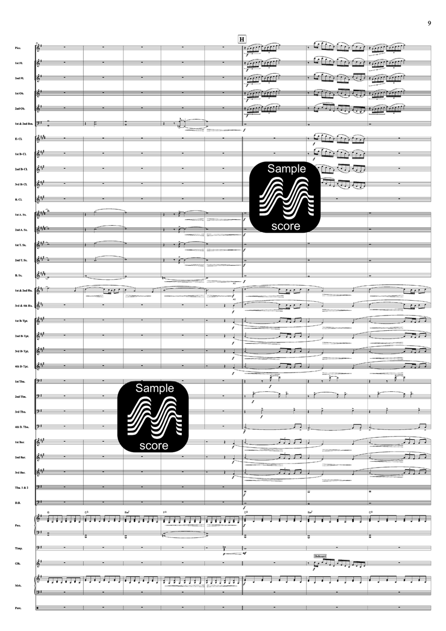 Droomvlucht Concert Band - Sheet Music page 8