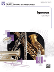 Igneous