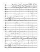 Clara Schuman sonata in g minor, movement 1 for symphony orchestra Full Orchestra scores gallery preview page 6