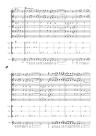 Song Of The French Partisan (The Partisan) Concert Band scores gallery preview page 4
