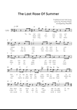 The Last Rose of Summer - Cello in C Solo With Chords & Lyrics - Easy