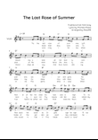 The Last Rose of Summer - Violin in G Solo With Chords & Lyrics - Easy