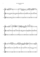 Arioso by Bach for Flute Trio (Piccolo; Flute and Alto Flute) Flute Trio scores gallery preview page 3