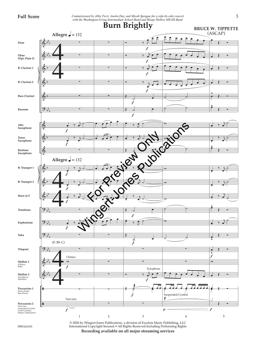 Burn Brightly (Score) Concert Band - Sheet Music page 4