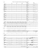 Thriller Chamber Orchestra scores gallery preview page 6