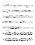 The Barber of Seville for Flute & Piano Chamber Music scores gallery preview page 4