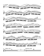 The Barber of Seville for Flute & Piano Chamber Music scores gallery preview page 5