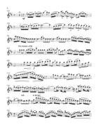 The Barber of Seville for Flute & Piano Chamber Music scores gallery preview page 6