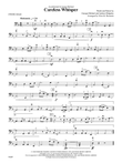 Careless Whisper: String Bass