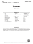 Igneous: Score
