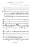 ”Agnus Dei”(Soprano/Alto/Male Vocal)