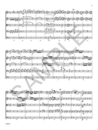 Overture for Strings Op. 1 No. 3 String Orchestra scores gallery preview page 6