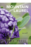 Mountain Laurel