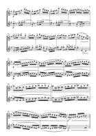 Duet for two flutes after Brahms Flute Duet scores gallery preview page 3