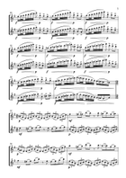 Duet for two flutes after Brahms Flute Duet scores gallery preview page 5