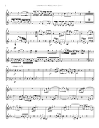 Concertino for Two Solo French Horns & Chamber Orchestra Chamber Orchestra scores gallery preview page 3