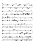 Concertino for Two Solo French Horns & Chamber Orchestra Chamber Orchestra scores gallery preview page 4