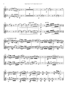 Concertino for Two Solo French Horns & Chamber Orchestra Chamber Orchestra scores gallery preview page 5
