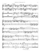 Concertino for Two Solo French Horns & Chamber Orchestra Chamber Orchestra scores gallery preview page 6