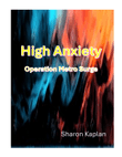 High Anxiety: Operation Metro Surge
