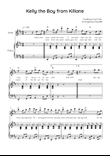 Kelly the Boy from Killane - Violin with Piano in D Easy with Chords and Lyrics