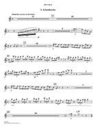 Suite of Old American Dances (Deluxe Edition) - Piccolo Concert Band scores gallery preview page 4