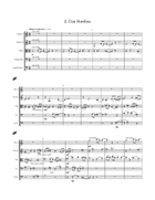 Mystical Sedona String Orchestra scores gallery preview page 5