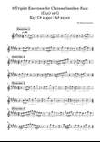 9 Triplet Exercises in 4/4 for Chinese bamboo flute (Dizi) in G
